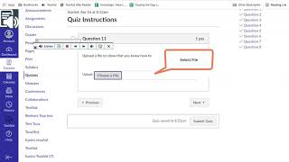 Using ReadSpeaker to Read Canvas Upload a File Quiz Questions [upl. by Narah916]