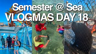 VLOGMAS DAY 18 Carnival Mardi Gras cruise [upl. by Annahaj]