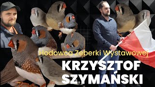 Wirtualny Hodowca odc12Krzysztof SzymańskiZeberka Wystawowa [upl. by Holli]