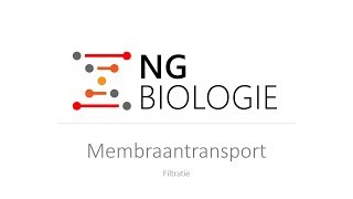 Membraantransport  Filtratie  HAVOVWO Biologie [upl. by Nothgierc]