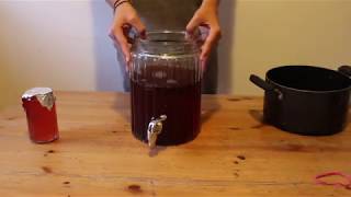 How to Brew High Alcohol Kombucha [upl. by Ert]