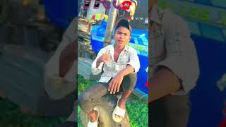 Miss call 📱📞 dance song kallubhojpuri reels 🥀❤️ [upl. by Vladimir481]