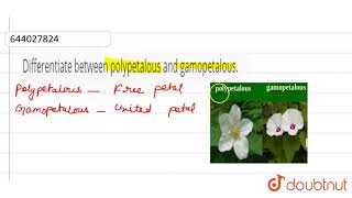 Differentiate between polypetalous and gamopetalous  9  THE FLOWER  BIOLOGY  ICSE  Doubt [upl. by Irrej421]