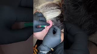 CONCH PIERCING undergroundbodypiercing [upl. by Moise]