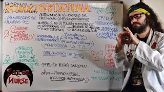 💊 Somatostatina quotSomatostinquot Hormona [upl. by Shlomo]