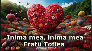 Fratii Toflea  Inima mea inima mea [upl. by Valentin]