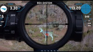 How to Use BDX Riflescopes and Rangefinders [upl. by Rennold37]