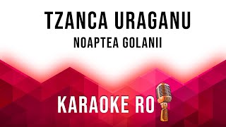 Tzanca Uraganu  Noaptea golanii  Karaoke [upl. by Payton378]