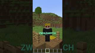 POMYSŁ NA PREZENT DLA GRACZA minecraft shorts [upl. by Laverna]