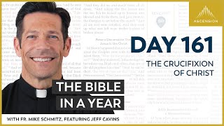 Day 161 The Crucifixion of Christ — The Bible in a Year with Fr Mike Schmitz [upl. by Ferris]