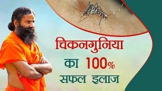 चिकनगुनिया का 100 सफल इलाज  Swami Ramdev [upl. by Acinoed]