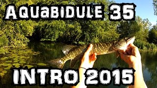 Ouverture du brochet 2015  Bande annonce saison 2015  Pêche des carnassiers [upl. by Sterne]