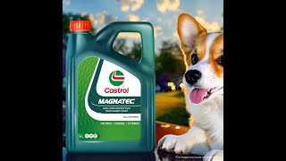 MAGNATEC  A pawsome ride [upl. by Means]