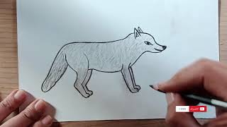 تعليم رسم ذئب بالرصاص خطوة بخطوة للمبتدئينرسم سهل How to draw a wolf [upl. by Imnubulo]