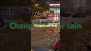 food changsha china smartphone automobile rain [upl. by Ebert368]