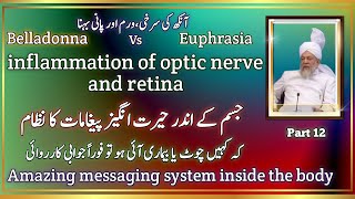 Inflammation of optic nerve and retina belladonna vs Euphprasia  amazing message system [upl. by Nnyleimaj]