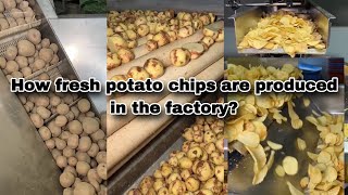 How fresh potato chips are produced in the factory [upl. by Emya]