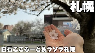 カフェで作業する日。札幌市白石区の桜スポットを巡る。 [upl. by Hairahcez]