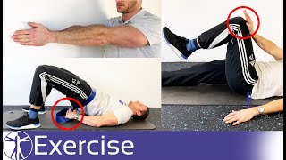 Isometric Exercises for Low Back Pain Pain Relief [upl. by Amaris]