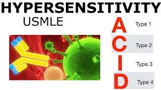 Hypersensitivity  USMLE [upl. by Pembrook]