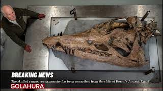 The skull of a massive sea monster has been unearthed from the cliffs of Dorsets Jurassic Coast [upl. by Ecyak]