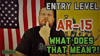 Entry Level AR15  What does Entry Level even Mean  For the New Shooters [upl. by Gianina]