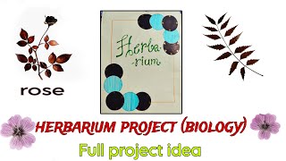 New Herbarium file project biology  herbarium sheet  herbarium specimen  project file [upl. by Eleen]