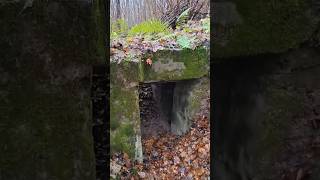 Ww1 german beton bunker rigasfrontline easternfront find metaldetecting xpdeus germanmilitary [upl. by Allemac127]