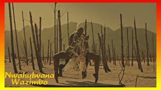 Wazimbo  Nwahulwana 2001 lyrics [upl. by Tobie]