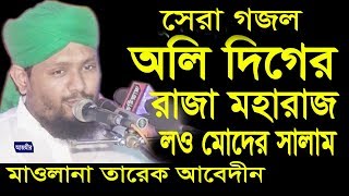 অলি দিগের রাজা মহারাজ  Mawlana Tareq Abedin  Beautiful Naat  Islami Gojol  2018 [upl. by Egroej40]