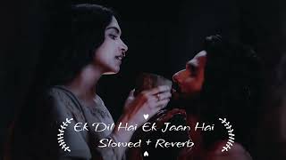 Ek Dil Hai Ek Jaan Hai Slowed  Reverb Song  ek dil ek jaan gana  padmavati songs [upl. by Aerdnwahs]