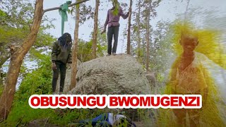 OBUSUNGU BWOMUGENZI UGANDAN MOVIE 1080p [upl. by Sidalg]