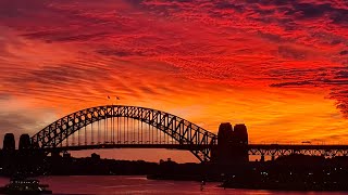 Sights and sounds from the most amazing city in the world This is Sydney Harbour Australia LIVE Cam [upl. by Werda]