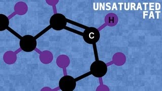 Saturated vs Unsaturated Fats  Bite Scized [upl. by Duffie]