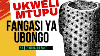 FAHAMUKUHUSU HIVUKIMWI na FANGASI ya UBONGO na DALILI ZAKE [upl. by Elledoj431]