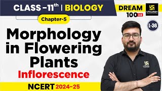 Class 11 Biology Chapter 5  Morphology in Flowering Plants  Inflorescence  L36  Shubham Sir [upl. by Dambro]