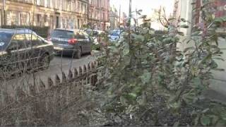 Exposed Shocking living conditions in Glasgows Govanhill [upl. by Gordan]