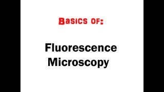 Fluorescence Microscopy in 5 mins HD [upl. by Ariom561]