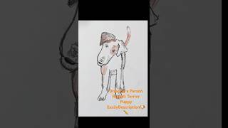 Drawing a Parson Russell Terrier Puppy EasilyDescription drawing ParsonRussellTerrier [upl. by Ilera922]