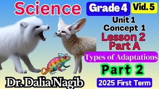 ساينس رابعه ابتدائي ترم اول 2025 Science Grade 4 Concept 1 Lesson 2 Types Of Adaptations Part A P2 [upl. by Runstadler]