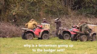 Beaufort Hunt the Churchyard Fox 17 3 2018 [upl. by Prosser345]