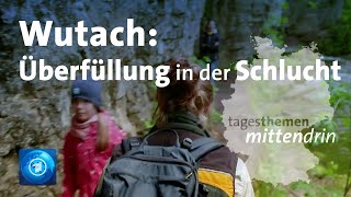 Wutach Überfüllung in der Schlucht  tagesthemen mittendrin [upl. by Ion]