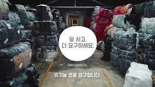 우리는 어떻게 여기까지 왔는가  유기농 면 Buy Less Demand More｜덜 사고 더 요구하세요 [upl. by Nhaj]