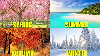 SEASONS OF THE YEAR for Kids  Learn Spring Summer Autumn and Winter [upl. by Luce]