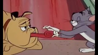 Tom And Jerry  Much Ado About Mousing 1964  TampJ Movie Cartoon For Kids [upl. by Richlad]