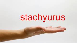 How to Pronounce stachyurus  American English [upl. by Cowden]