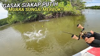 Memburu Ikan SIAKAP LIAR di Muara Sungai [upl. by So684]