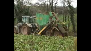 Fendt 720 lifting beet with Armer Salmon TR2000 [upl. by Ilbert]