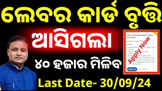 ଆସିଲା Labour Card Scholarship  labour card Scholarship 2024 apply now [upl. by Enilaf318]