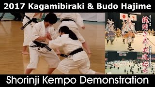 Shorinji Kempo Womens Demonstration  Kagamibiraki 2017 [upl. by Ailil224]